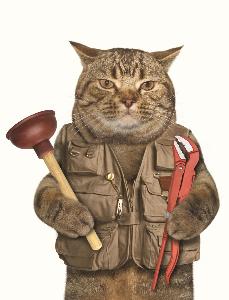 Сантехнические работы plumber-cat.jpg